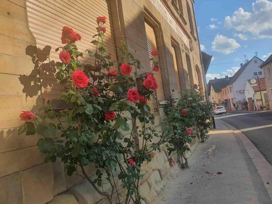 Wohlfuehloase Auf 133-160Qm In Der Idylle An Der Nahe Apartamento Duchroth Exterior foto